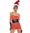 Miss Sexy Santa 4 PC Set