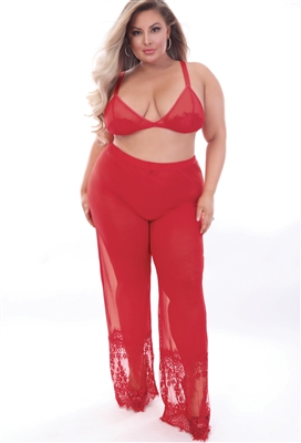 Sexy Mesh And Lace Plus Size 2 PC PJ Set