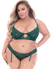 Long Line Plus Size 2 PC Bra Set