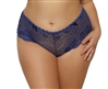Plus Size Sexy  Lace Classic Boyshort Panties  With Mini Bows